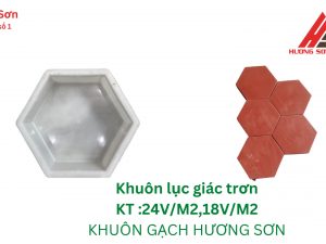 Khuôn gạch lục giác trơn